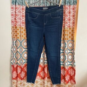 Torrid Lean Jean Jeggings Sz 1R
